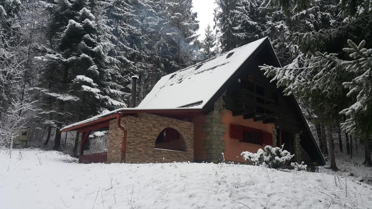 Chata Kiki Malino Brdo Ruzomberok Buitenkant foto