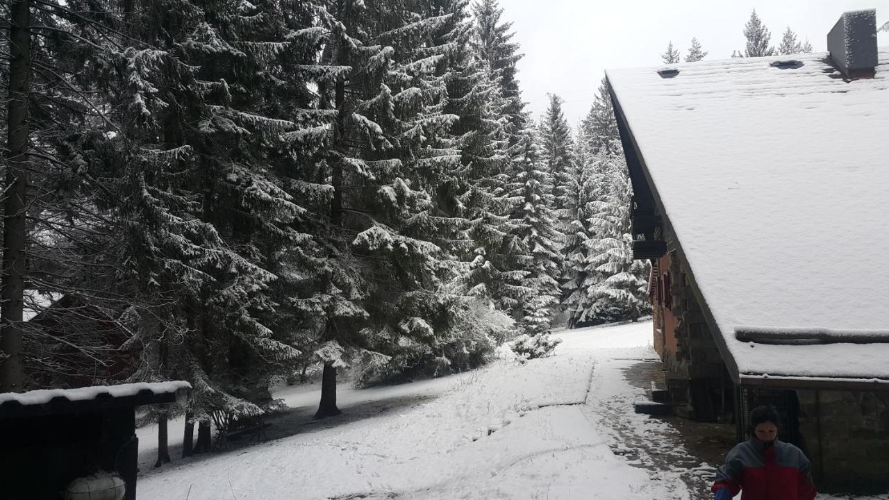 Chata Kiki Malino Brdo Ruzomberok Buitenkant foto